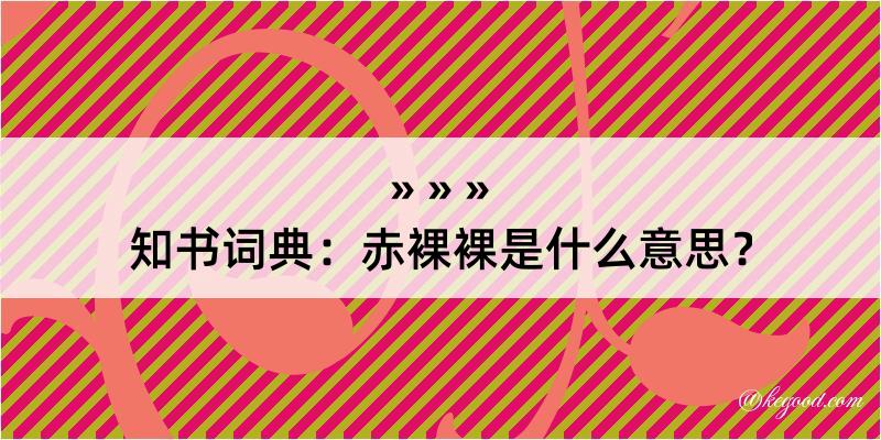 知书词典：赤裸裸是什么意思？