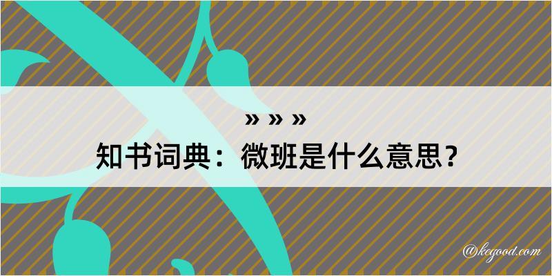 知书词典：微班是什么意思？