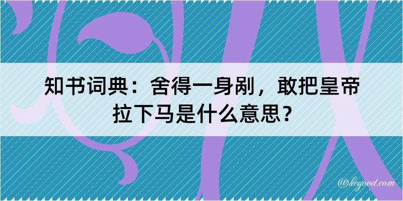 知书词典：舍得一身剐，敢把皇帝拉下马是什么意思？