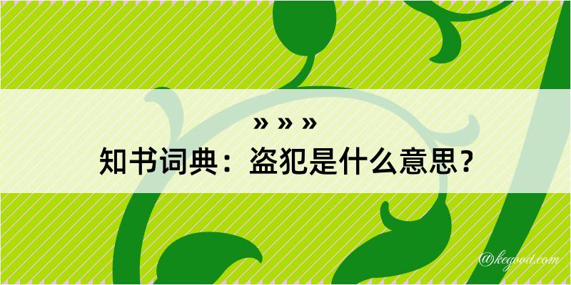 知书词典：盗犯是什么意思？