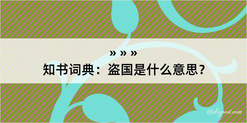 知书词典：盗国是什么意思？