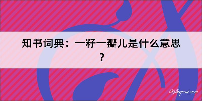 知书词典：一籽一瓣儿是什么意思？