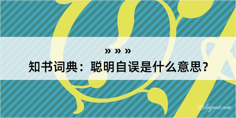 知书词典：聪明自误是什么意思？