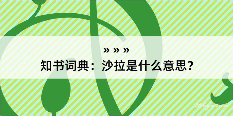 知书词典：沙拉是什么意思？