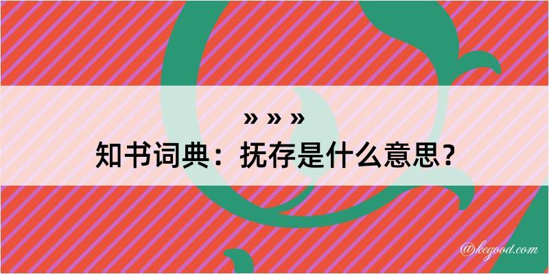 知书词典：抚存是什么意思？