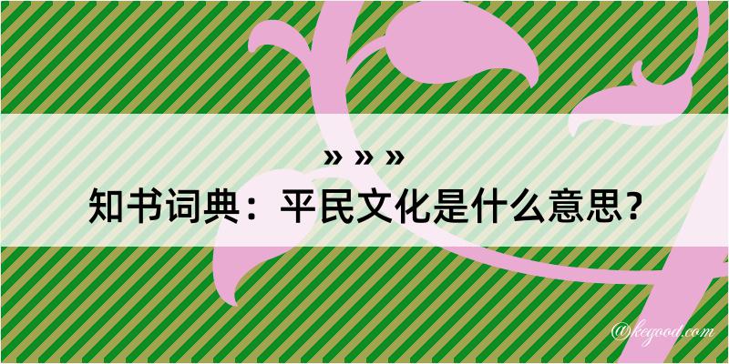 知书词典：平民文化是什么意思？