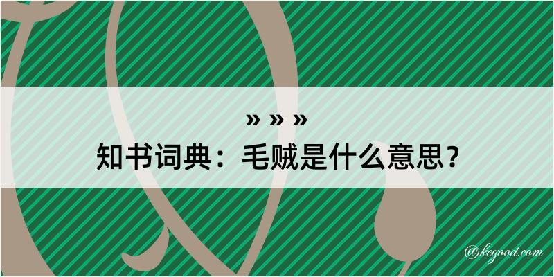 知书词典：毛贼是什么意思？