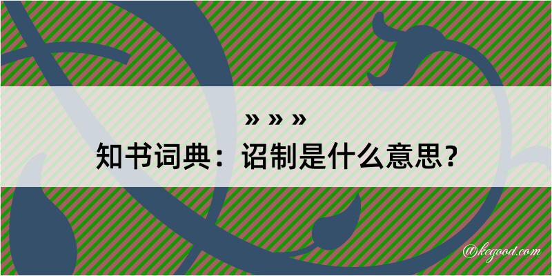 知书词典：诏制是什么意思？