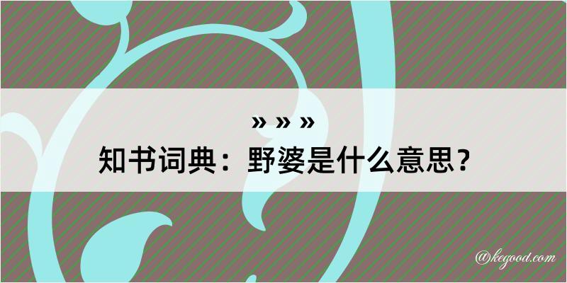 知书词典：野婆是什么意思？