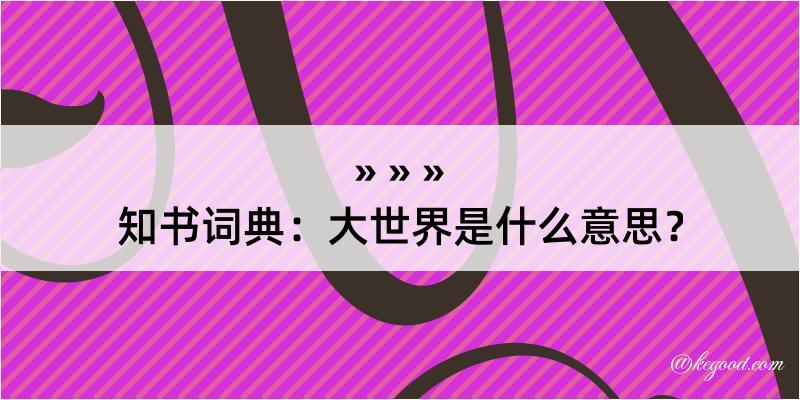 知书词典：大世界是什么意思？