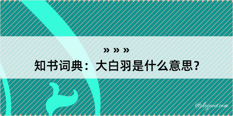 知书词典：大白羽是什么意思？