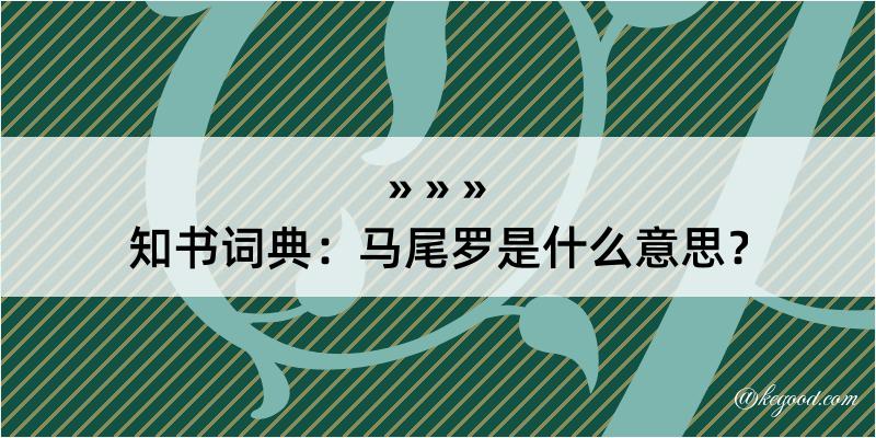 知书词典：马尾罗是什么意思？