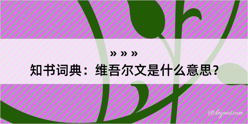 知书词典：维吾尔文是什么意思？