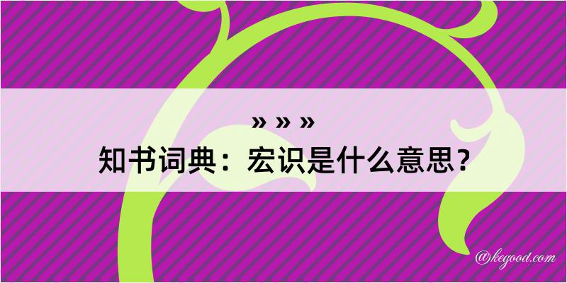 知书词典：宏识是什么意思？