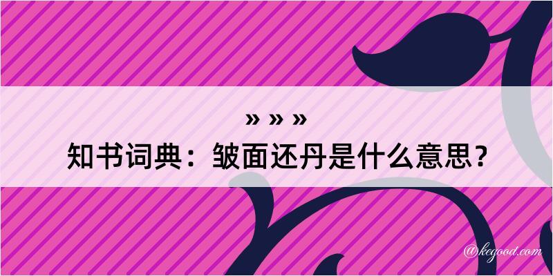 知书词典：皱面还丹是什么意思？