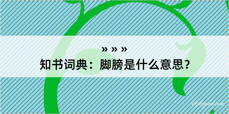 知书词典：脚膀是什么意思？