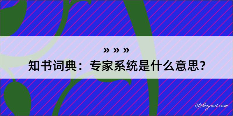 知书词典：专家系统是什么意思？