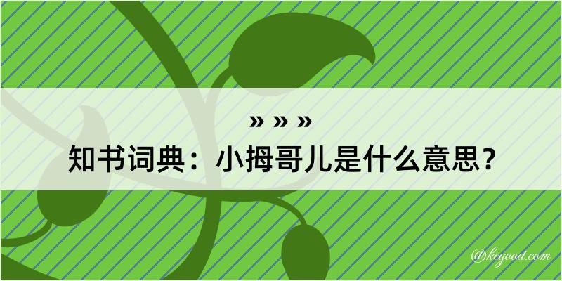 知书词典：小拇哥儿是什么意思？