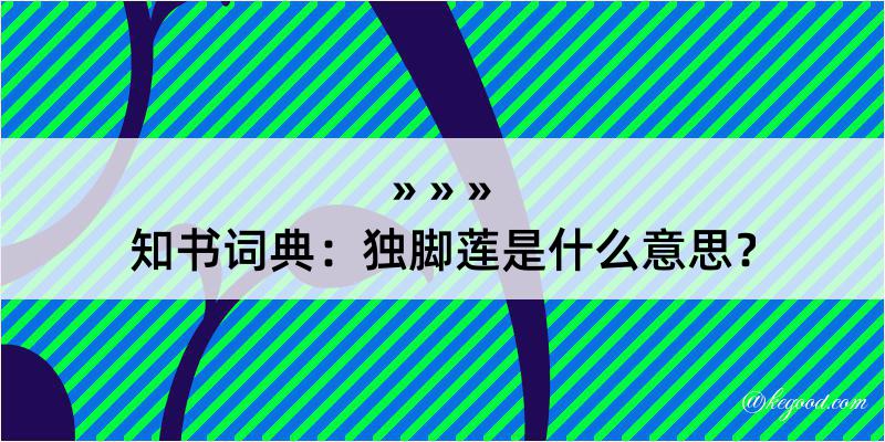 知书词典：独脚莲是什么意思？