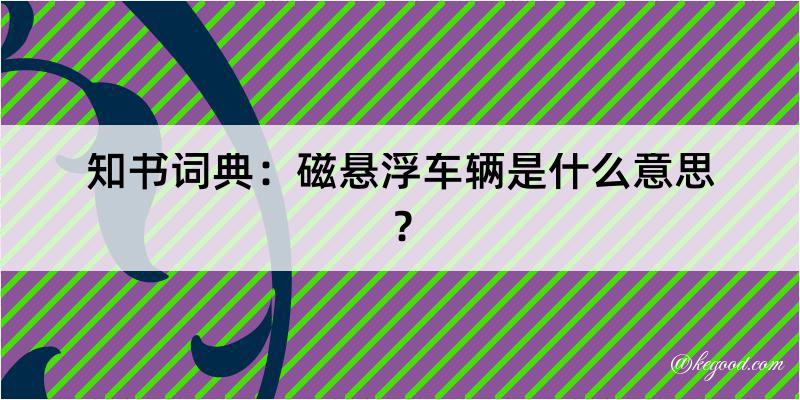 知书词典：磁悬浮车辆是什么意思？