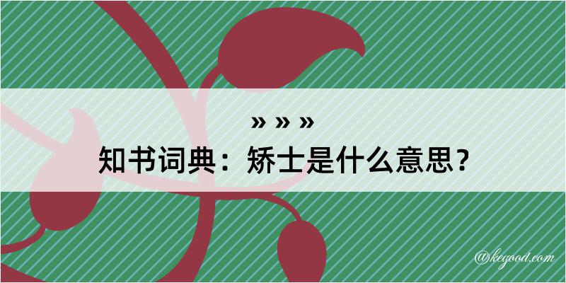 知书词典：矫士是什么意思？