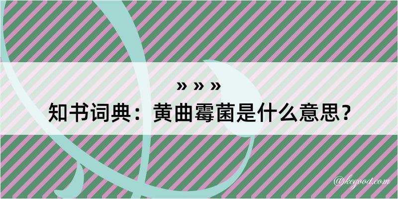 知书词典：黄曲霉菌是什么意思？