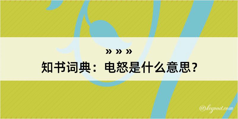 知书词典：电怒是什么意思？