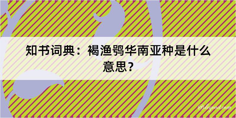 知书词典：褐渔鸮华南亚种是什么意思？