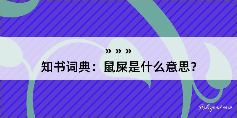 知书词典：鼠屎是什么意思？