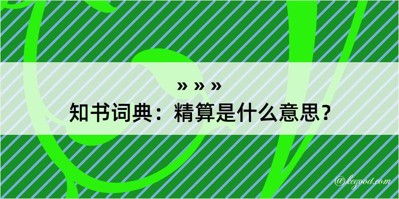 知书词典：精算是什么意思？