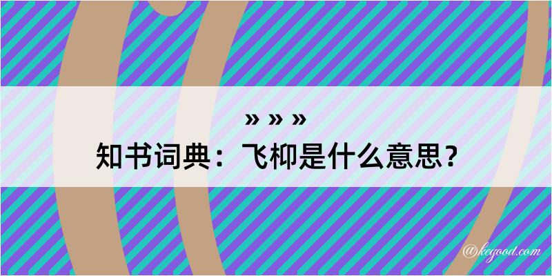 知书词典：飞枊是什么意思？