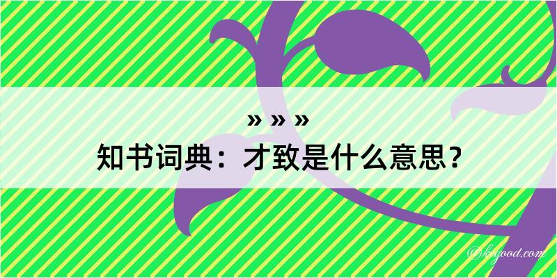 知书词典：才致是什么意思？