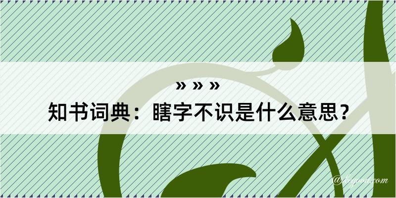 知书词典：瞎字不识是什么意思？