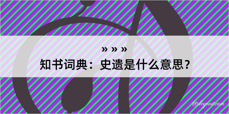 知书词典：史遗是什么意思？