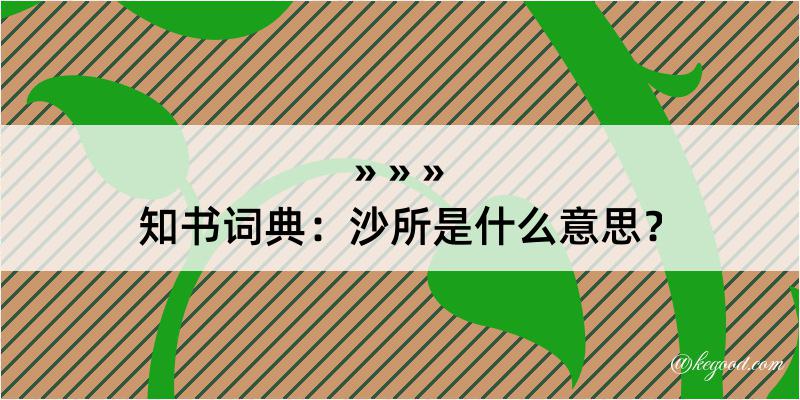 知书词典：沙所是什么意思？