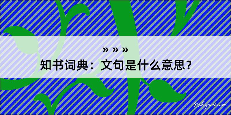 知书词典：文句是什么意思？