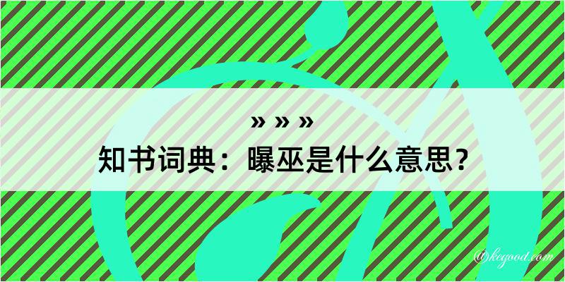 知书词典：曝巫是什么意思？