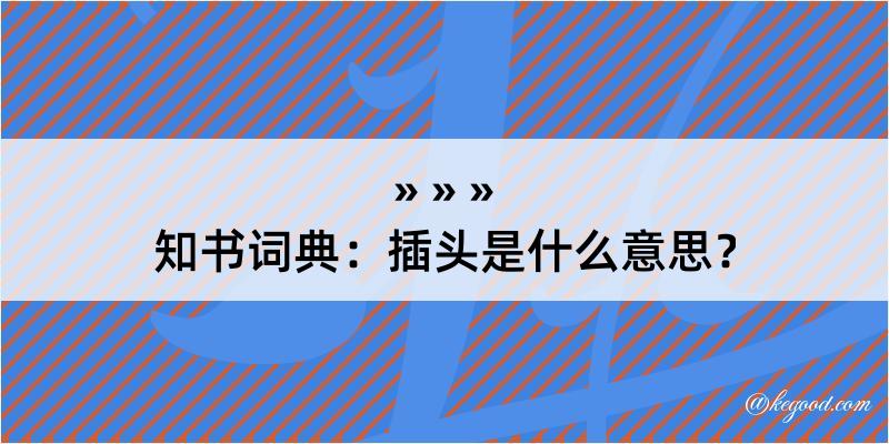 知书词典：插头是什么意思？