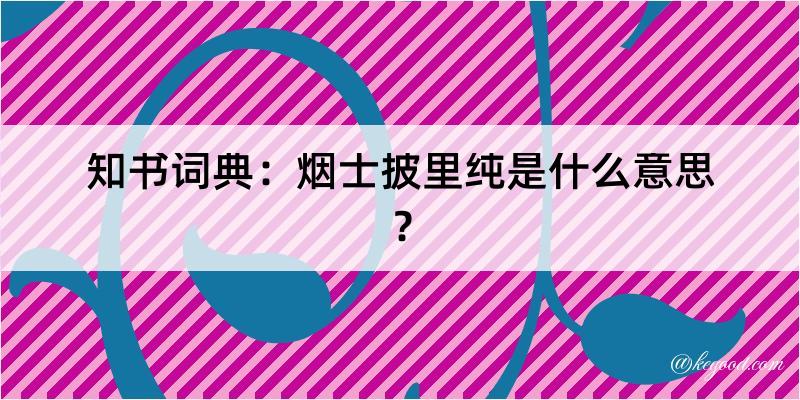 知书词典：烟士披里纯是什么意思？