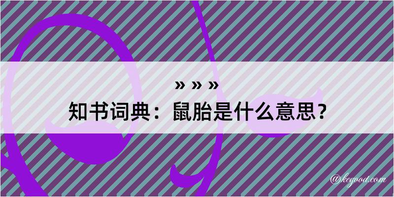 知书词典：鼠胎是什么意思？