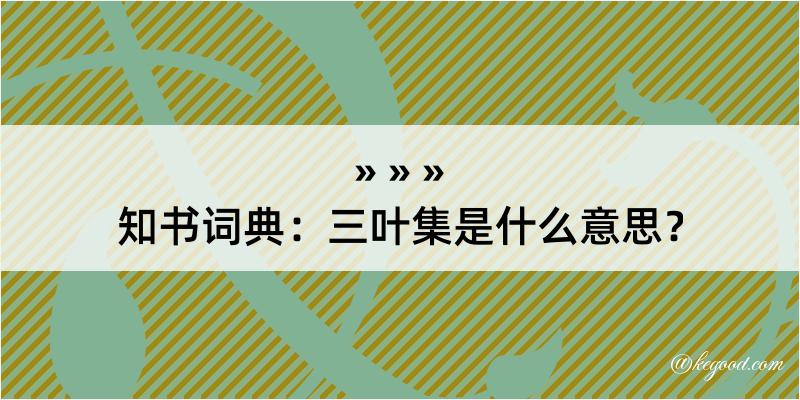 知书词典：三叶集是什么意思？