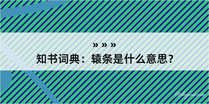 知书词典：辕条是什么意思？