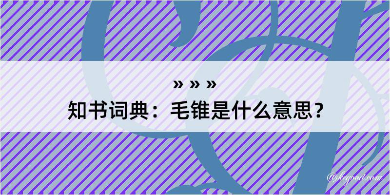 知书词典：毛锥是什么意思？