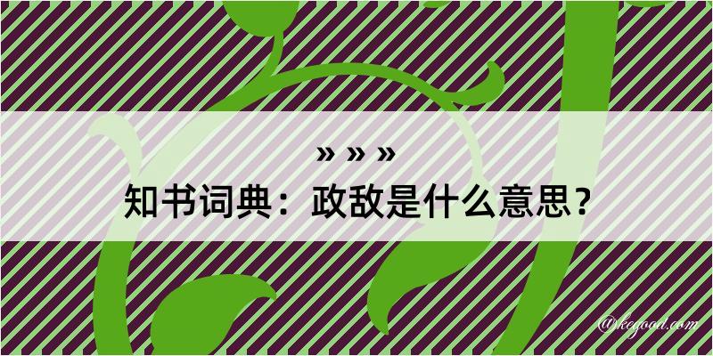 知书词典：政敌是什么意思？