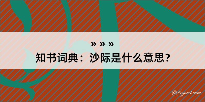 知书词典：沙际是什么意思？