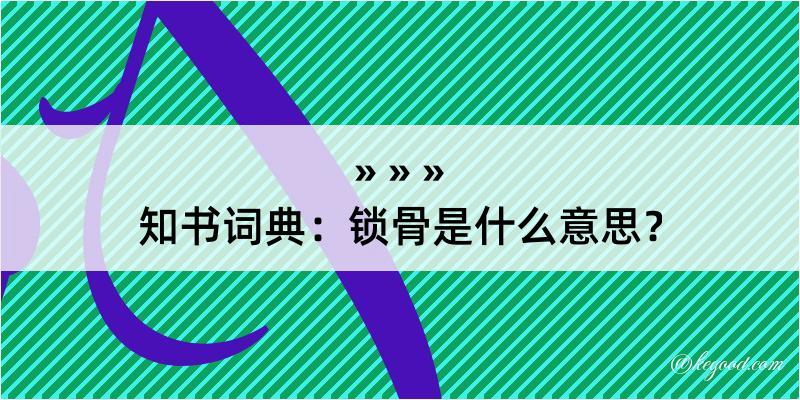 知书词典：锁骨是什么意思？