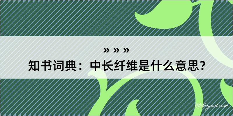 知书词典：中长纤维是什么意思？