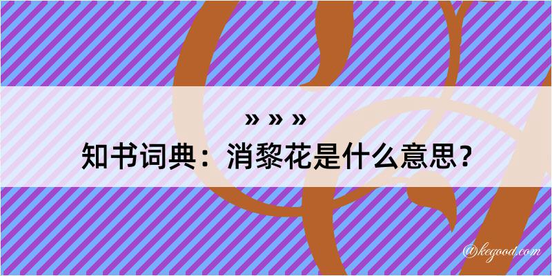 知书词典：消黎花是什么意思？