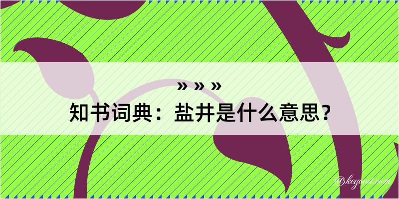 知书词典：盐井是什么意思？