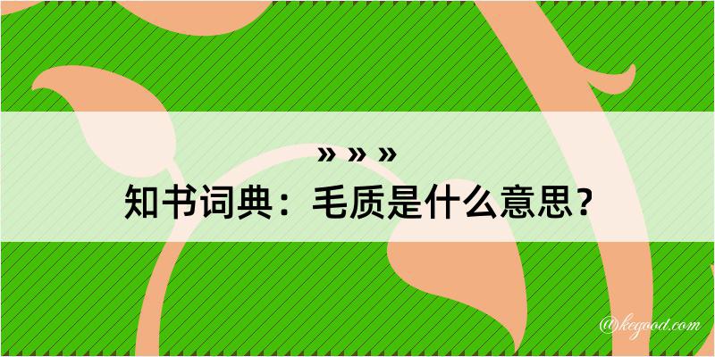 知书词典：毛质是什么意思？